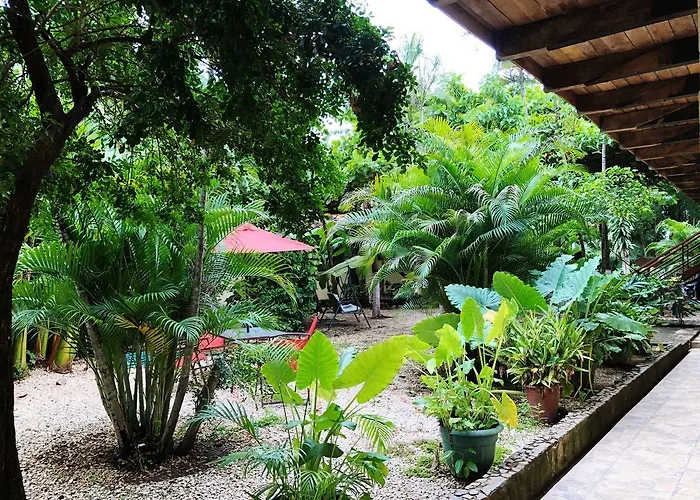 Hotel Hotel Brasilito
